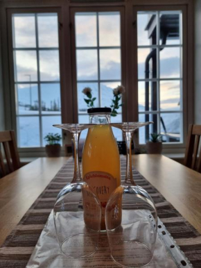 Leilighet Gaustablikk Rjukan
